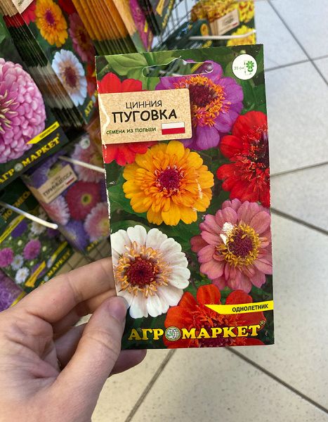 цинния Пуговка